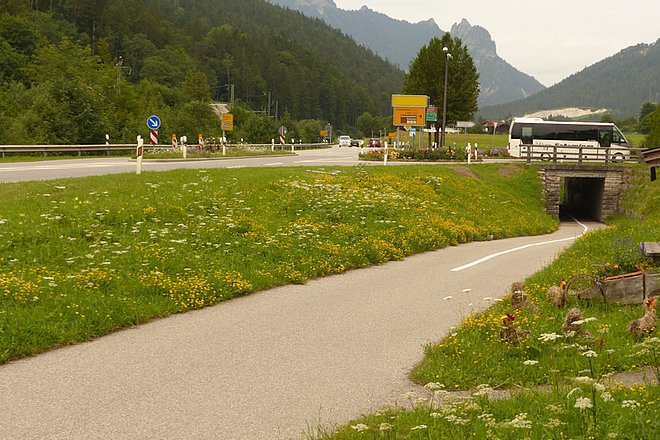 Fußweg zur Unterführung unter einer Straße. Rechts und links mit blühender Wiese.