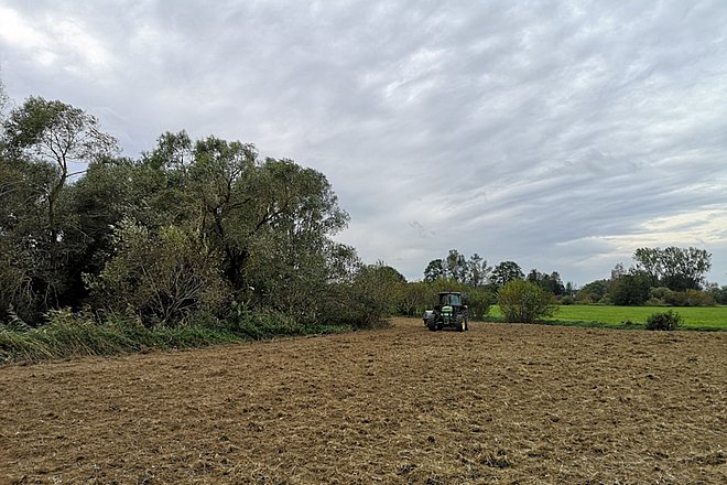 Traktor fährt über gepflügte Fläche.