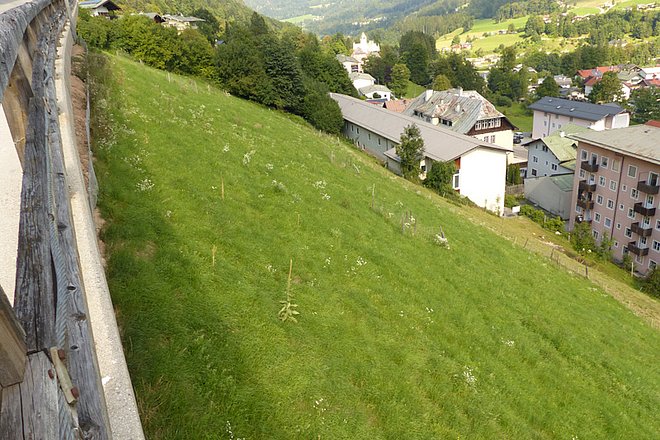 Hang mit Blumen