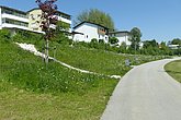 Fußweg mit seitlichem blühendem Bewuchs